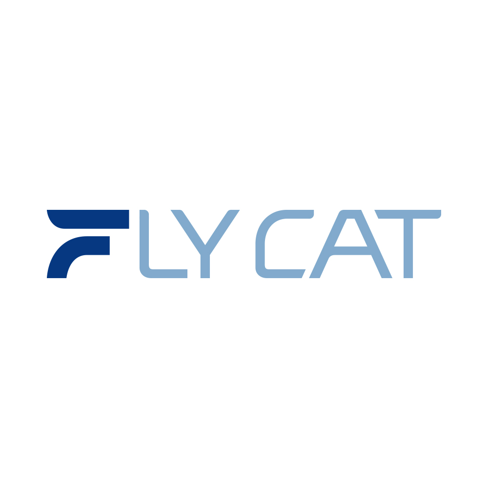 Fly Cat Electrical Co., Ltd. LOGO